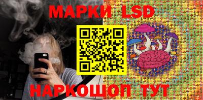 крисы Кандалакша