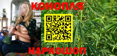 крисы Кандалакша