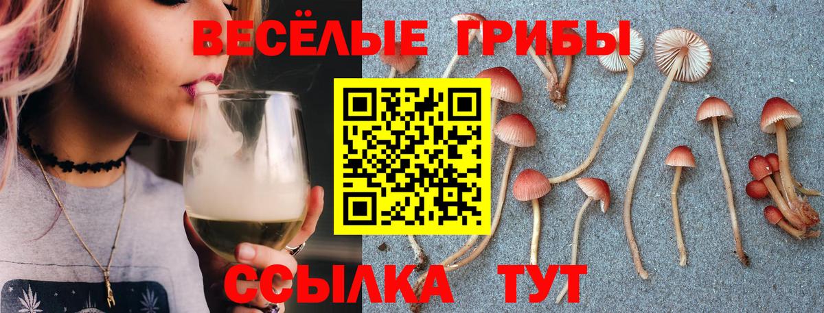 Галлюциногенные грибы Cubensis Красный Сулин