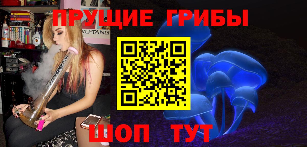 Псилоцибиновые грибы MAGIC MUSHROOMS  Вход с VPN  наркота  Красный Сулин 